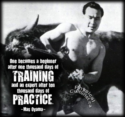 mas-oyama-quote-beginner-to-expert-through-training-and-practice